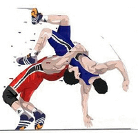 Wrestling Photos PNG Image