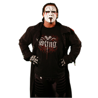 Steve Borden Image PNG