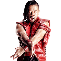 Hiroshi Tanahashi File PNG