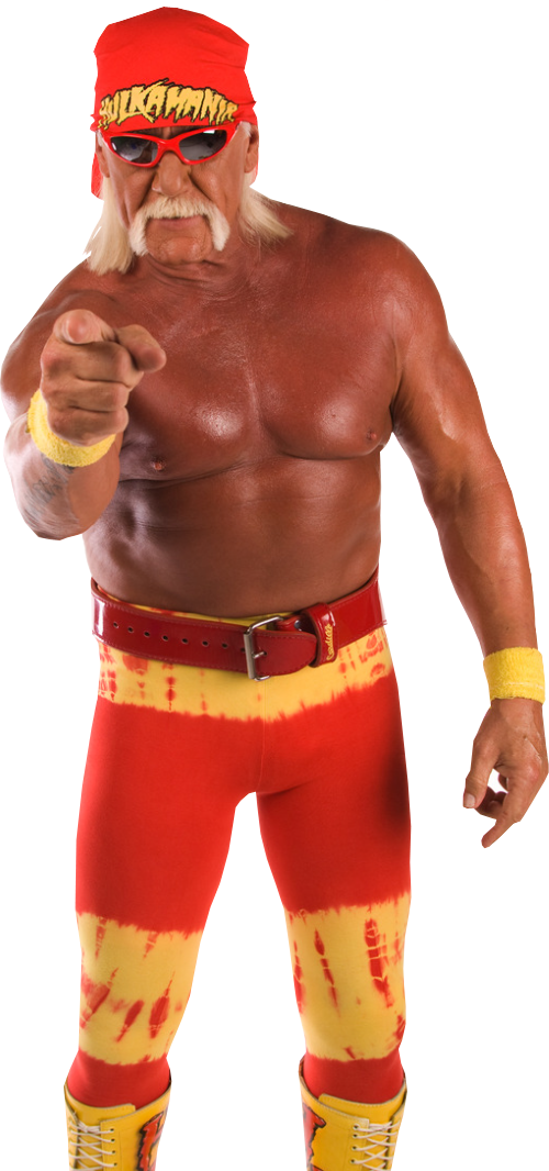 Hulk Hogan File PNG Image