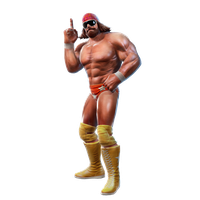 Randy Savage File PNG