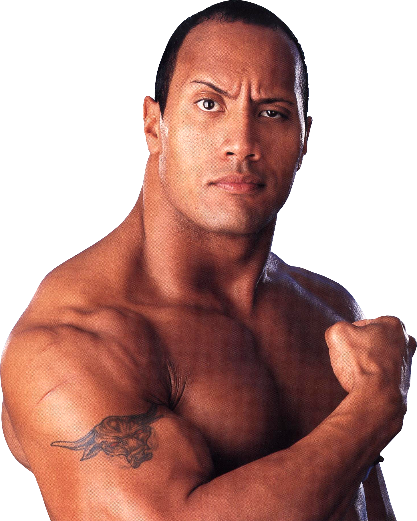 Download The Rock Transparent Image HQ PNG Image