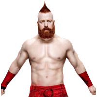 Download Wwe Free PNG photo images and clipart | FreePNGImg