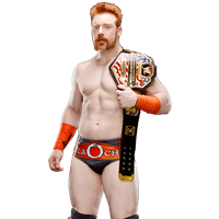 Sheamus Picture