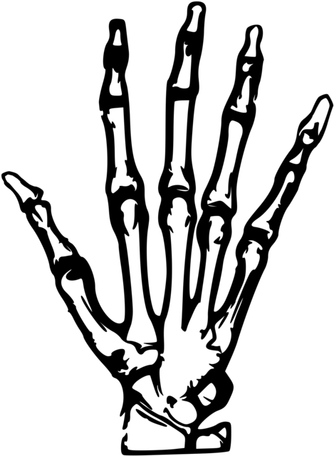 X-rays Transparent PNG Image