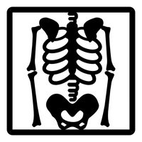 X-rays PNG