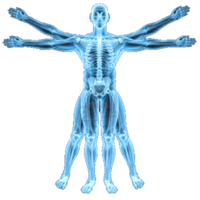 X-rays PNG