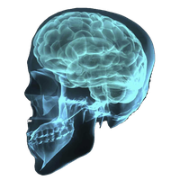 X-rays PNG
