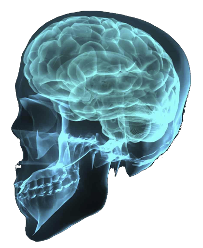 X-rays Transparent PNG Image