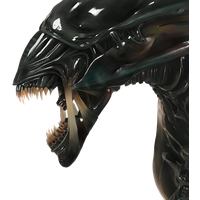 Xenomorph head PNG