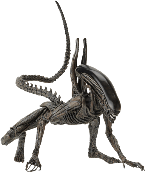 Xenomorph Transparent PNG Image