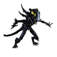 Xenomorph PNG