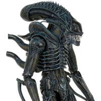 Xenomorph PNG
