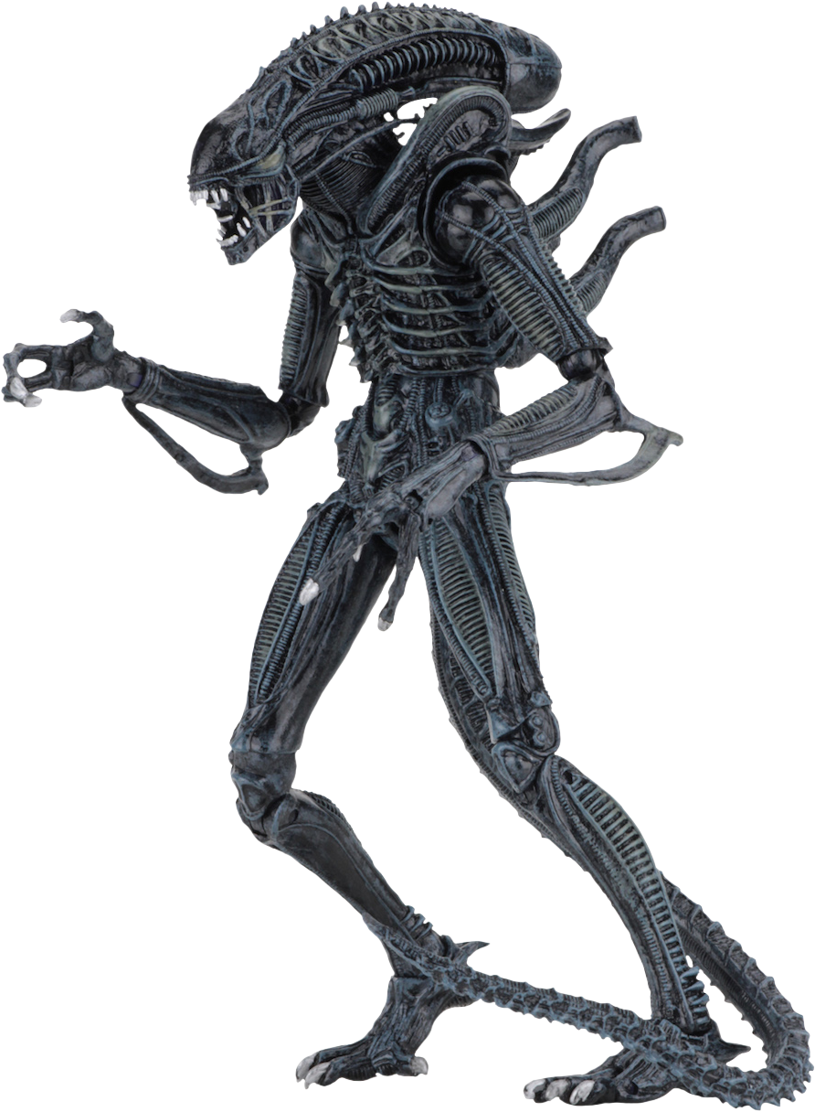 Xenomorph Transparent PNG Image