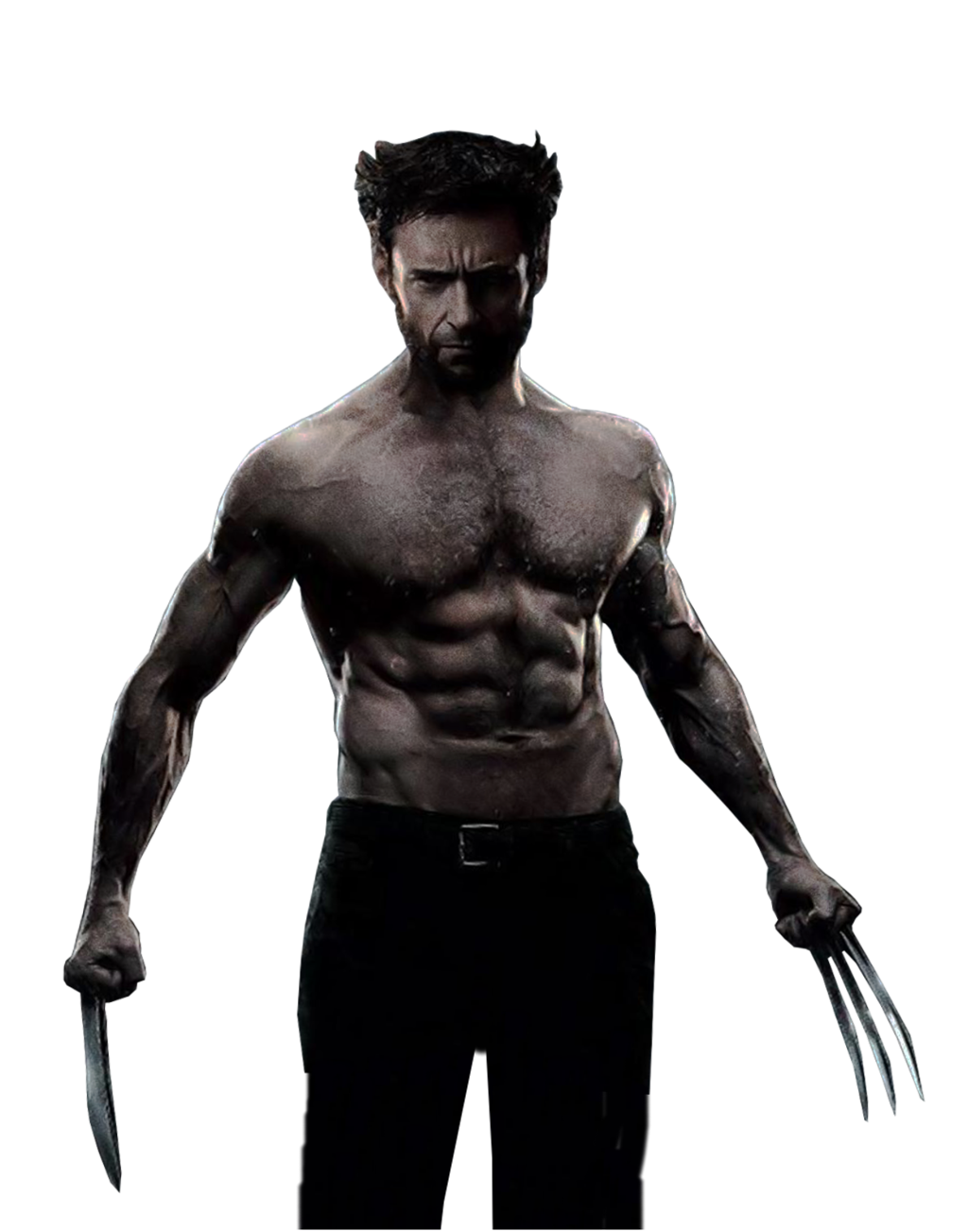 Wolverine Image PNG Image