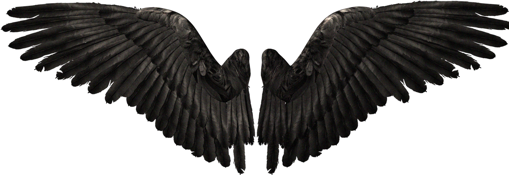Devil Youtube Wings Angel Free Download PNG HD PNG Image