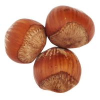 Edible Hazelnut Free Transparent Image HD PNG Image