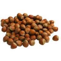 Photos Edible Hazelnut Download Free Image
