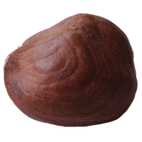 Hazelnut Download HD PNG Image