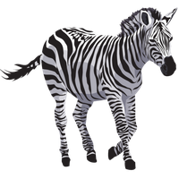 Zebra File PNG Image