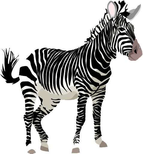 Zebra Png Clipart PNG Image
